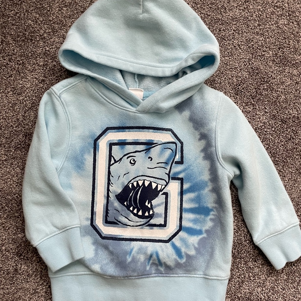 Baby Gap toddler boys hooded sweatshirt